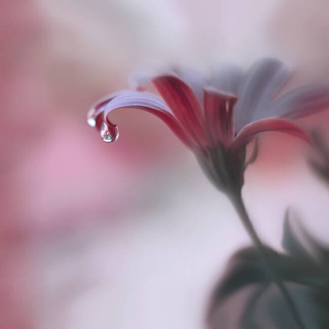 Invisible Touch... Juliana Nan