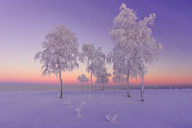 January evening Ruslan Makhmud-Akhunov