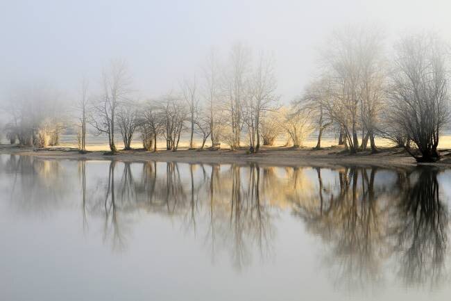 January morning Bor