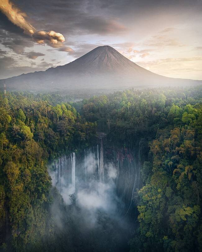 Jurassic World Fikri Muharram