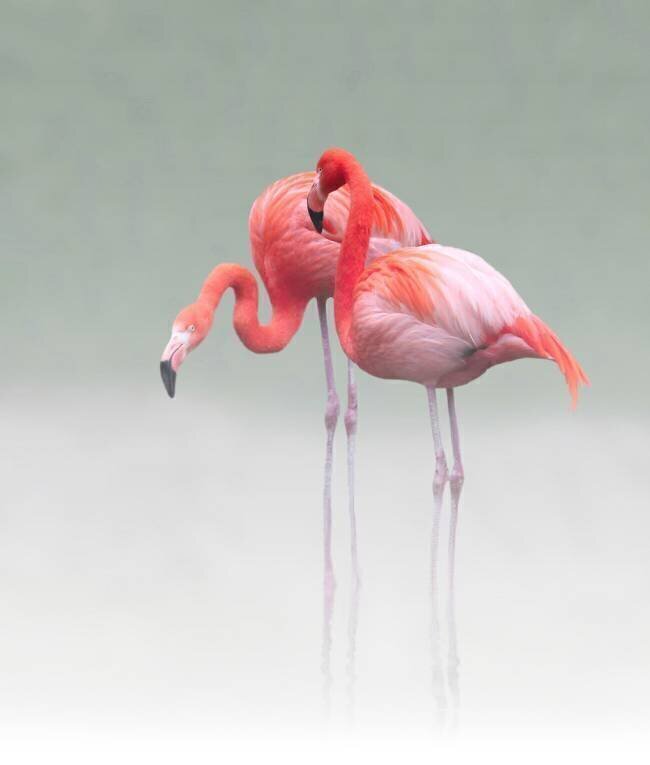 Just we two... Anna Cseresnjes 