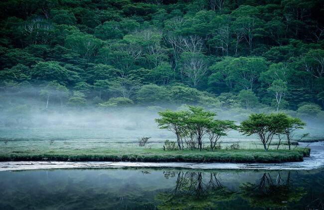 Kakumanbuchi Marsh Teruo Araya 