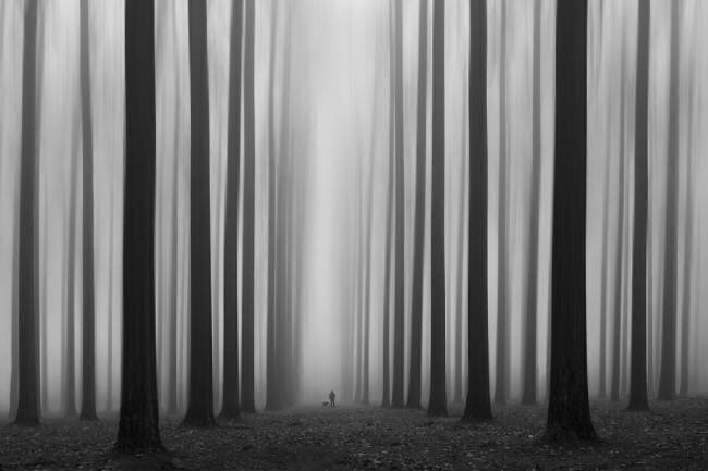 Labyrinth Jochen Bongaerts 