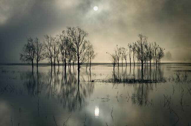Lake's Secret Joanne_flj