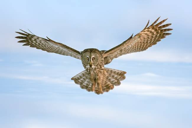 Landing Rob Li