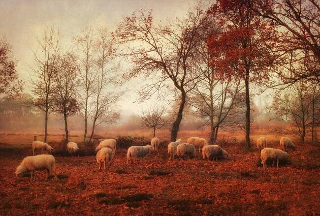 Last days of autumn Ellen van Deelen