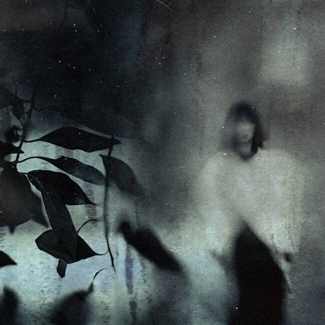 Last sad portrait Teruhiko Tsuchida