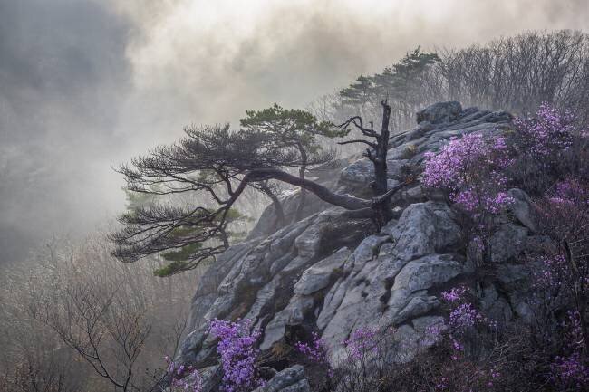 Life and death Jaeyoun Ryu
