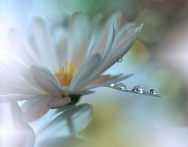 Light touch... Juliana Nan