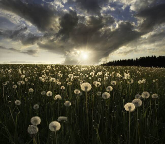 Lightbulbs Christian Lindsten