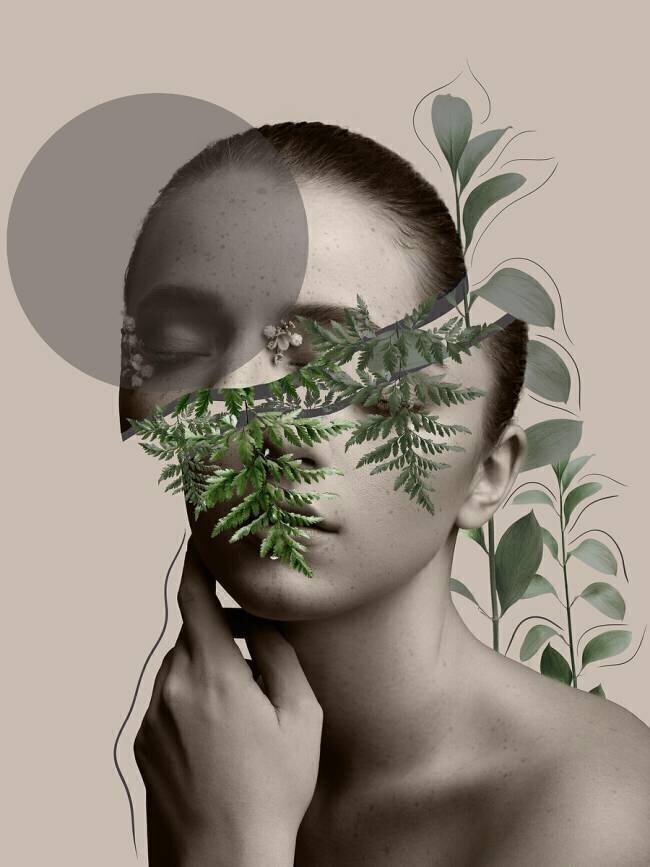 Lili Collection Creative Art Series Leila