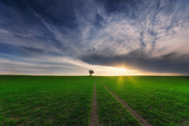 Loner in the sun Piotr Krol (Bax)