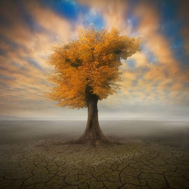 Lonesome Piotr Krol (Bax)
