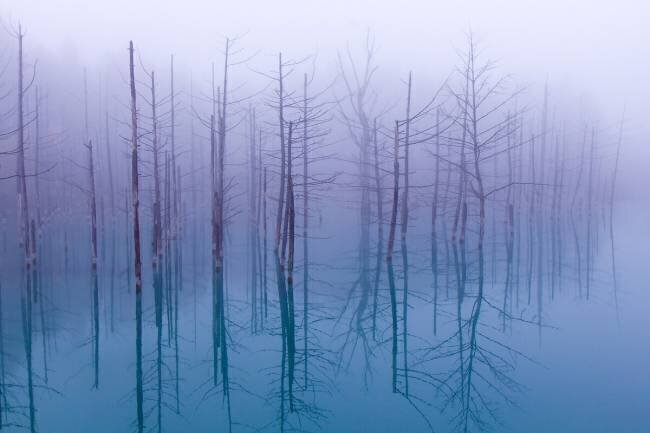 Misty Blue Pond Osamu Asami