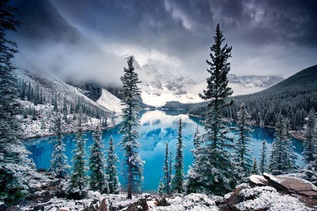Morning blues Trevor Cole