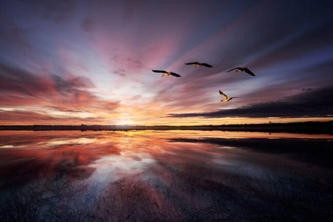 Morning mood.. Leif Londal