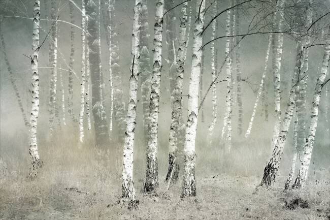 Morning silence Nel Talen