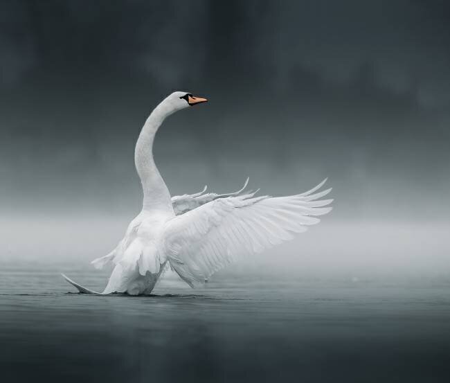 Morning workout Judy Tseng