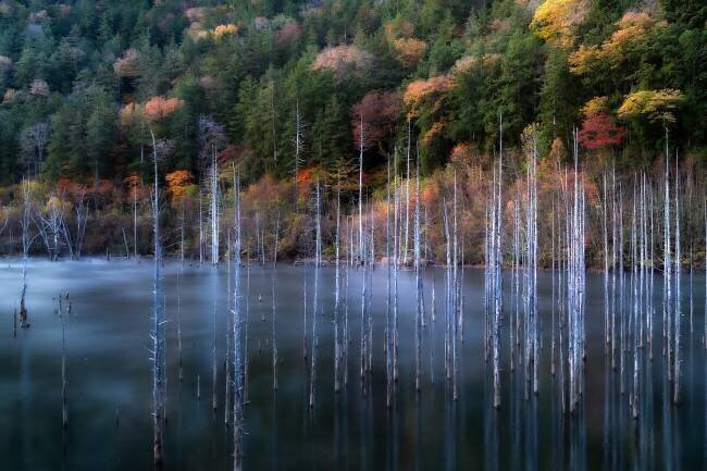 Natural Lake Autumn Takeshi Mitamura