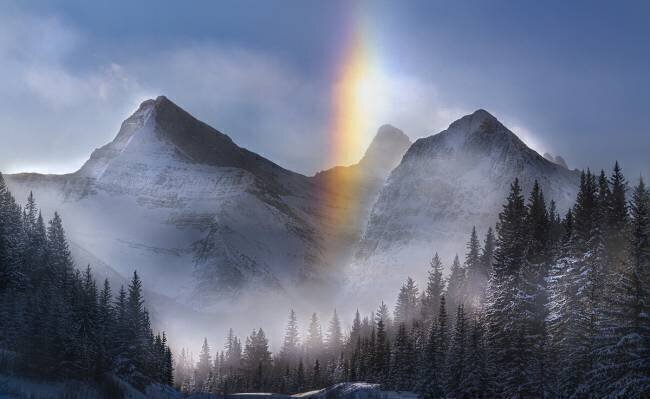 Nature's Dreamscape James S. Chia