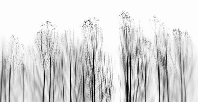 No Grounds Paulo Abrantes 