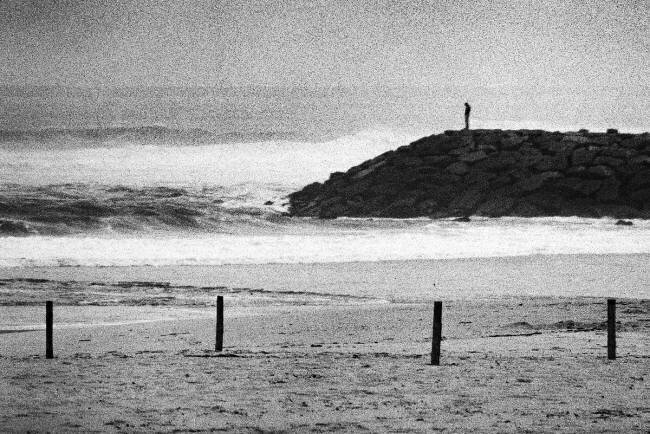No Shelter Paulo Abrantes 