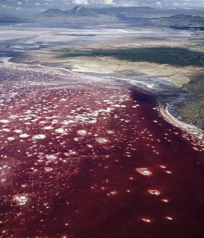 Northern Tanzania, lake Natron John Warburton-Lee