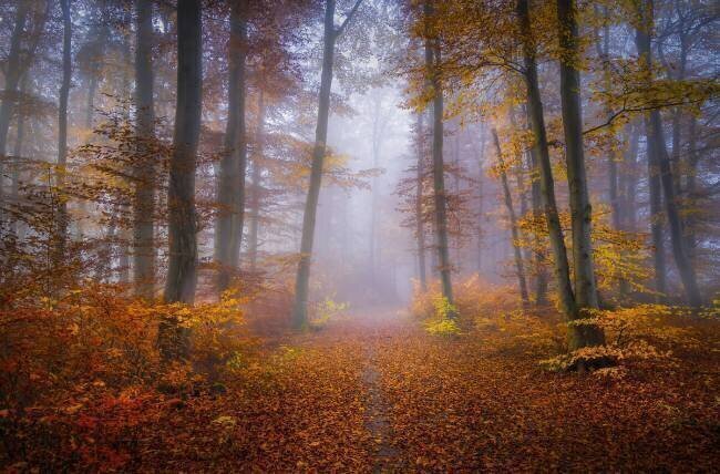 October Trail Norbert Maier