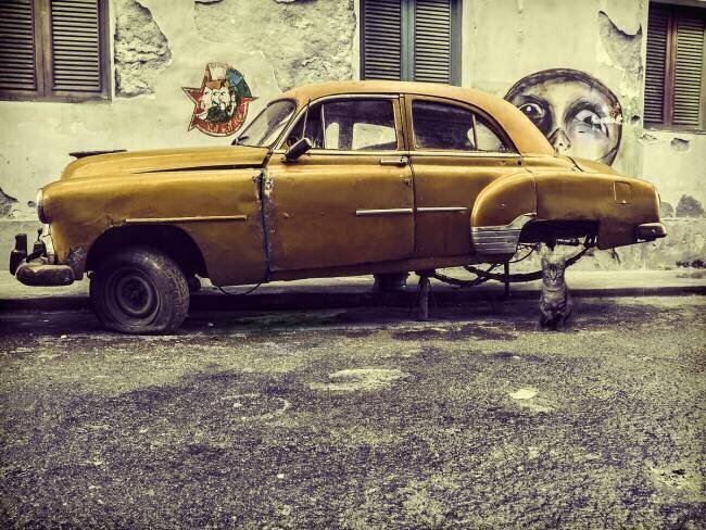 Old car/cat Svetlin Yosifov