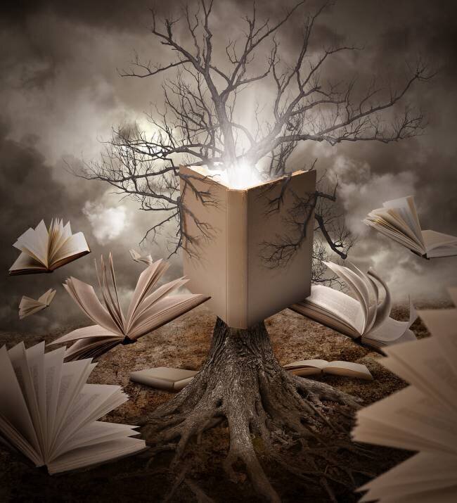 Old Tree Reading Story Book Angela Waye