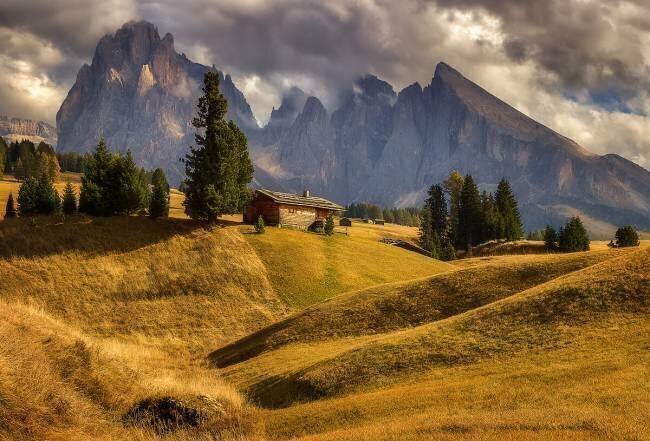 On a mountain meadow Martin Kucera