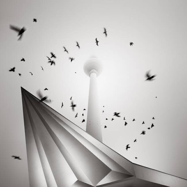 One day in November Ronny Behnert