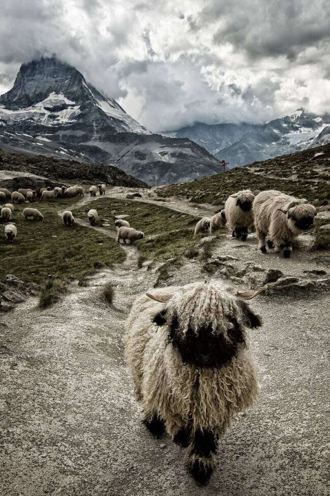 Out of my way Susanne Landolt