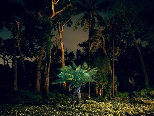 Painting in the Dark Carli Choi