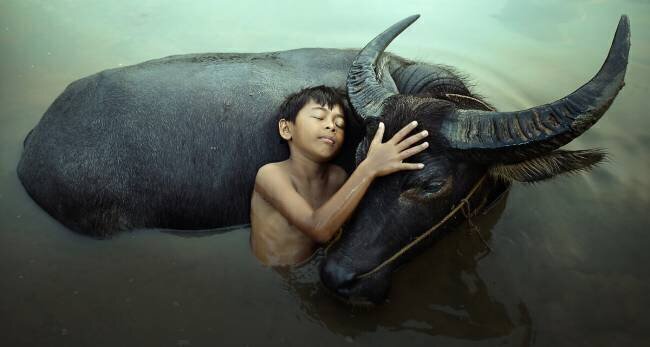 Peaceful Fahmi Bhs 