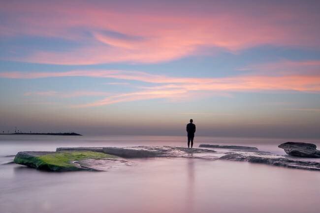 Pink dreams Ron Segal