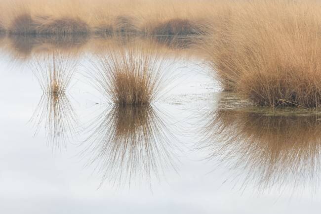 Piping straw Ann Cornelis