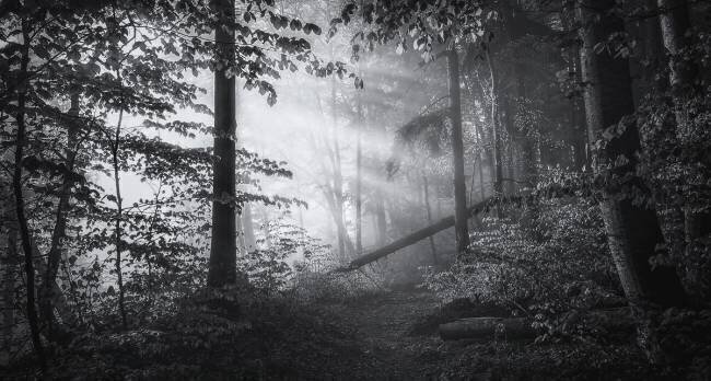 Point of no return... Norbert Maier