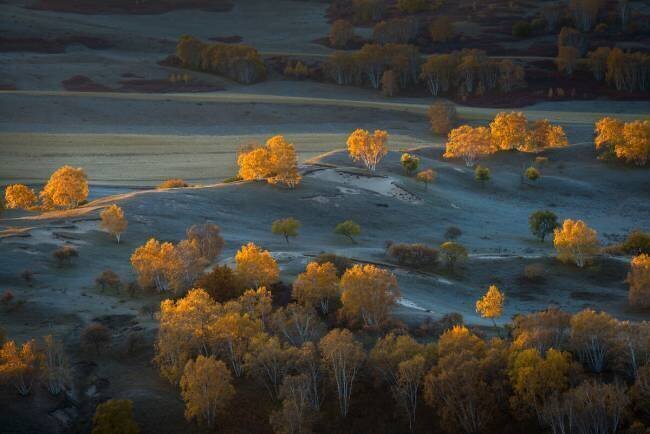 Prairie light C. Mei
