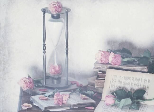 Prisoner of Time Delphine Devos