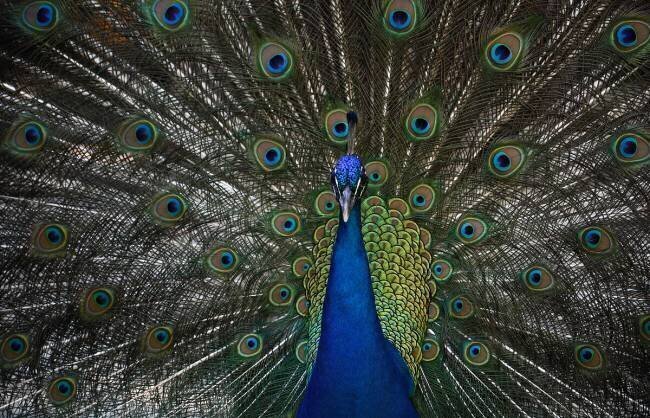 Proud Of Himself Andrei Stepanov