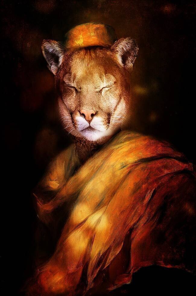 Puma Dreaming Enza Paoli