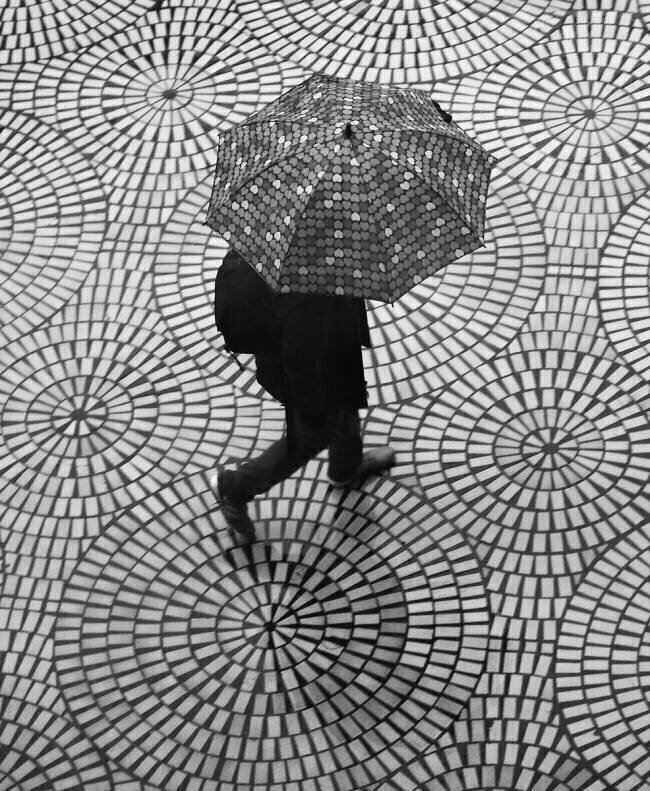 Rainy day patterns on the Embarcadero Robin Wechsler