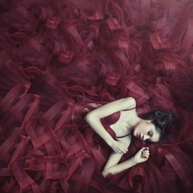 Red blossom Hardibudi