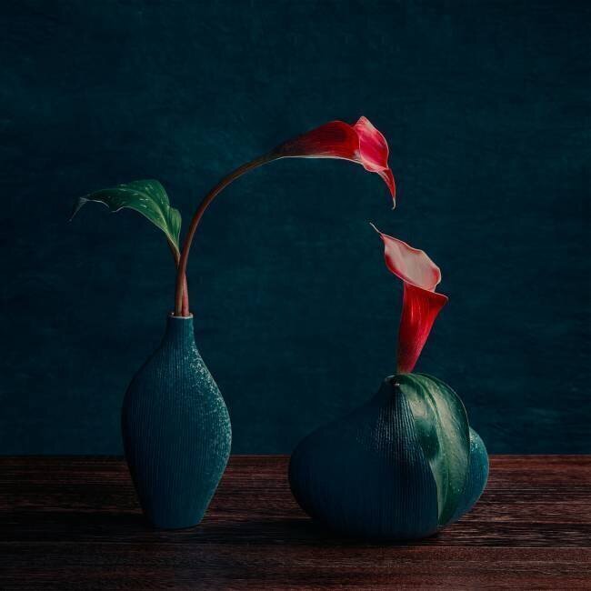 Red Calla Lilies Mia Meng