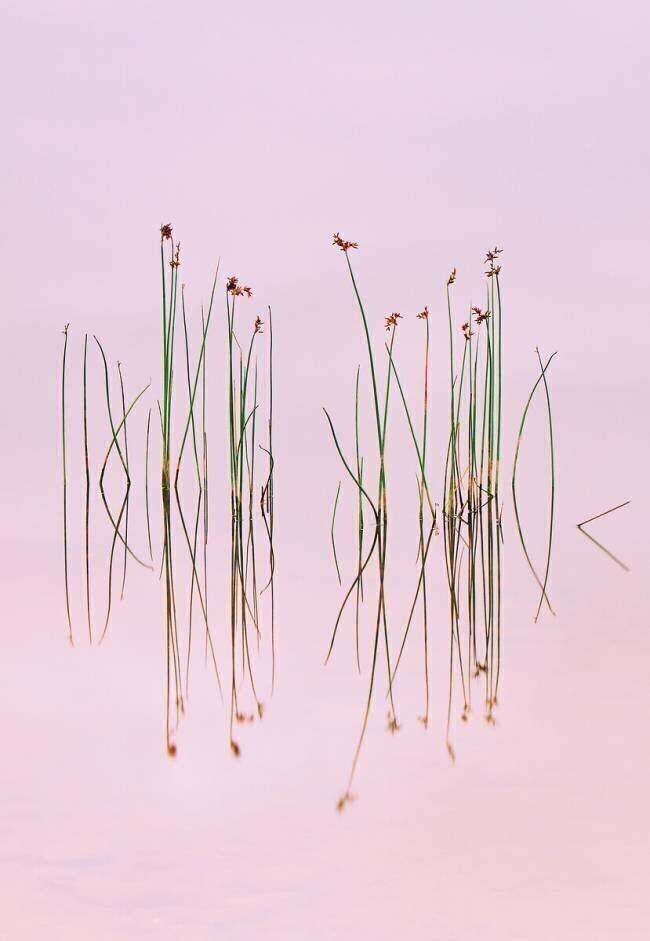 Reflection of Serenity Yan Zhang