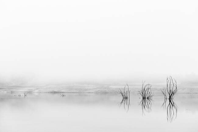 Reflejos en la niebla Fernando Martin Sanchez