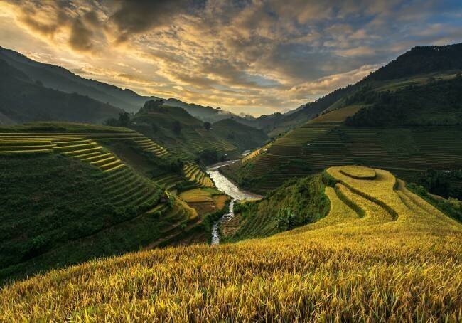 RiceTerrace ( vietnam) Sarawut Intarob