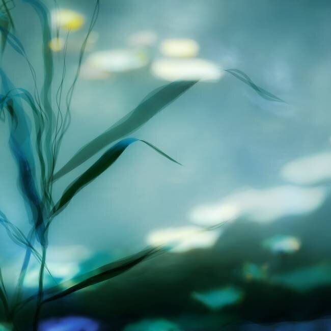 Ripples in Suzhou Piet Flour