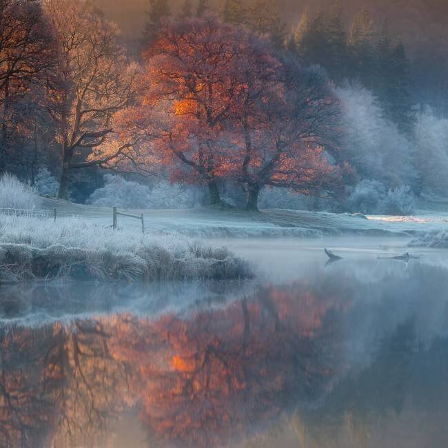 River Brathay Wolfy